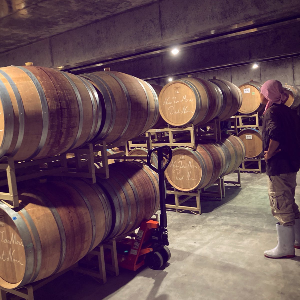 ドメーヌタカヒコ　木村農園 ドメーヌタカヒコ