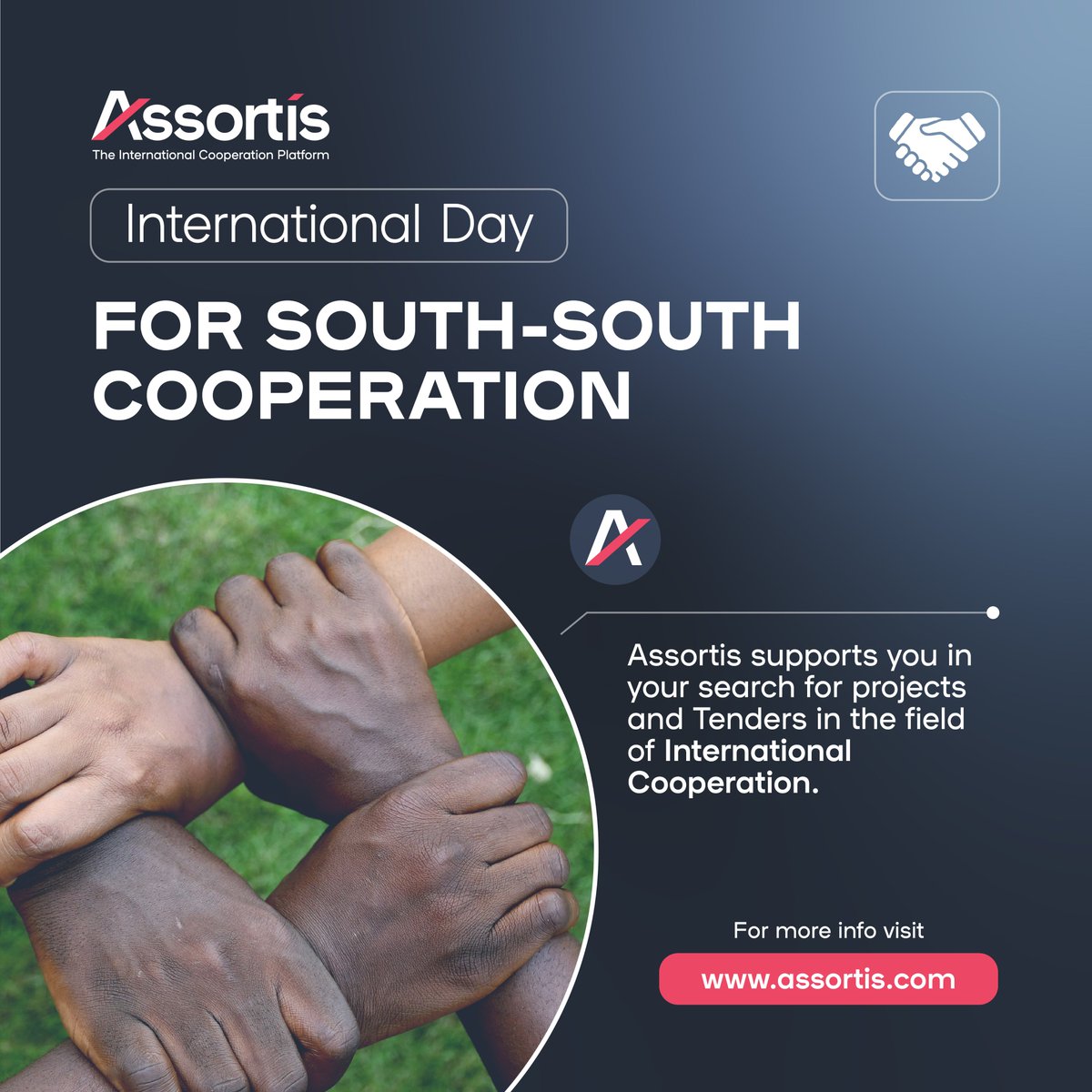 Assortis tweet media