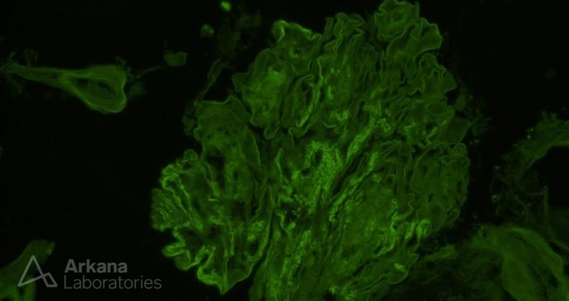 Arkana Laboratories tweet media