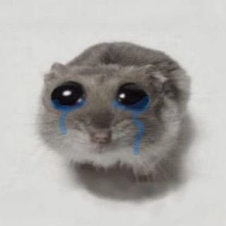 Rno0om22's tweet photo. @onswonx يوه انا اول كنت اتحمس على ذي الأخبار الحين يمكن لو قالها توغاشي بنفسه ما اصدق https://t.co/CcBYq8ekZ4