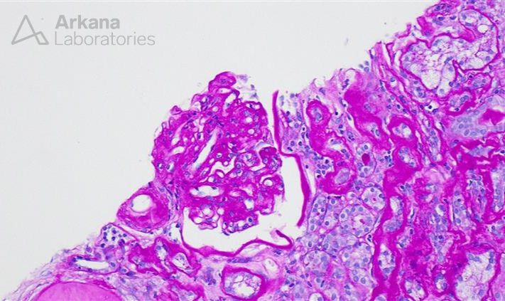 Arkana Laboratories tweet media