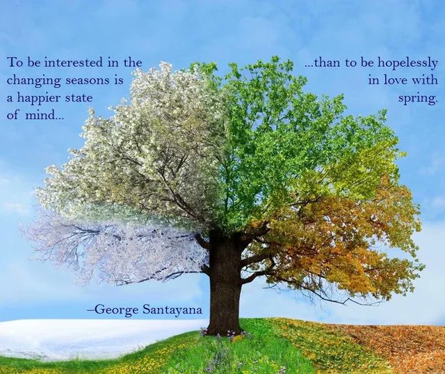 Embracing the full cycle of seasons brings deeper joy than fixating on a single season or always focusing on what’s next. Be present right here right now. 

#Joy #Joyful #embrace #seasons #Happy #Happiness #DoYou