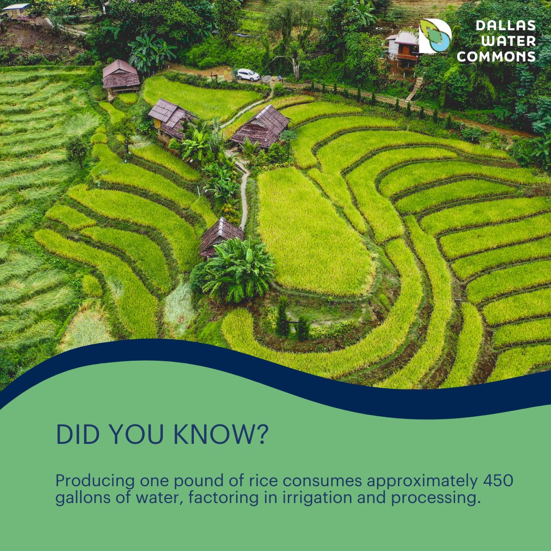 #DallasWaterCommons #DallasCommons #TheCommons #education #citypark #waterconservation #Sustainability #environment #wetlands #urbanplanning #Parks #DallasParksCoalition #waterlab #urbanwater #nature #NatureOfUrbanWater #texasrunsonwater