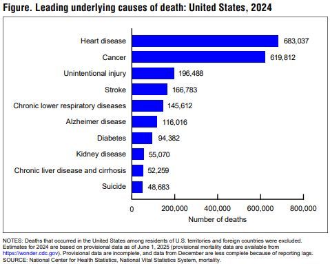 NCHStats's tweet image. #STATOFTHEDAY In 2024 (provisional), the top three causes of death were heart disease, cancer, and unintentional injuries bit.ly/4n3Fb4w