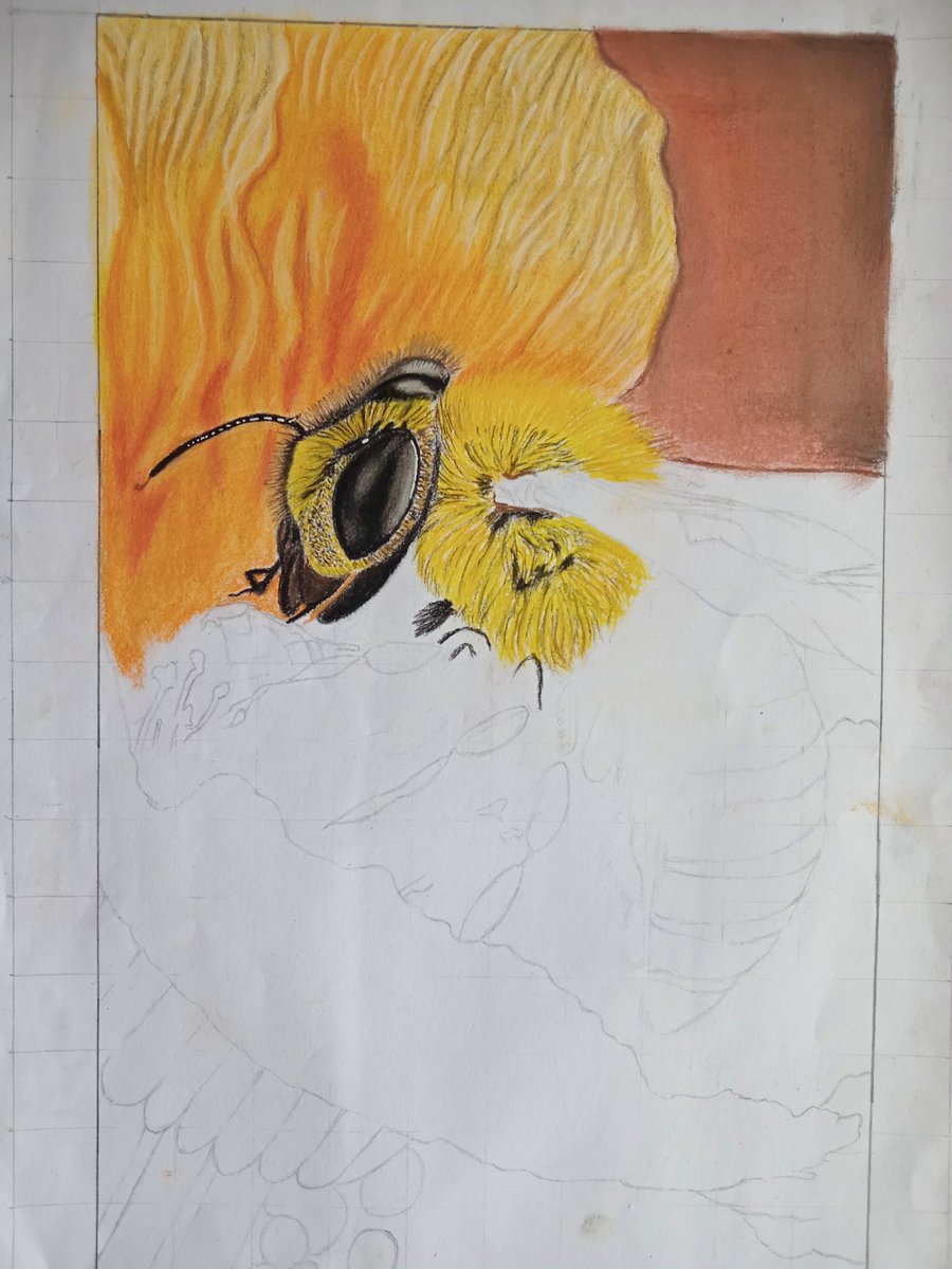 WIP
Pastel on paper