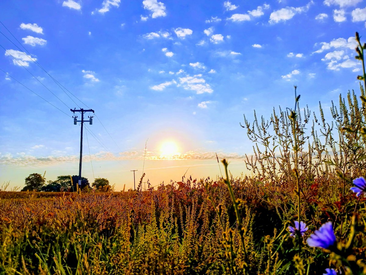 Sunrise over the border near Libertyville ... It's Friday, Hauteans. #fridaymorning #sunrise #sunrisephotography