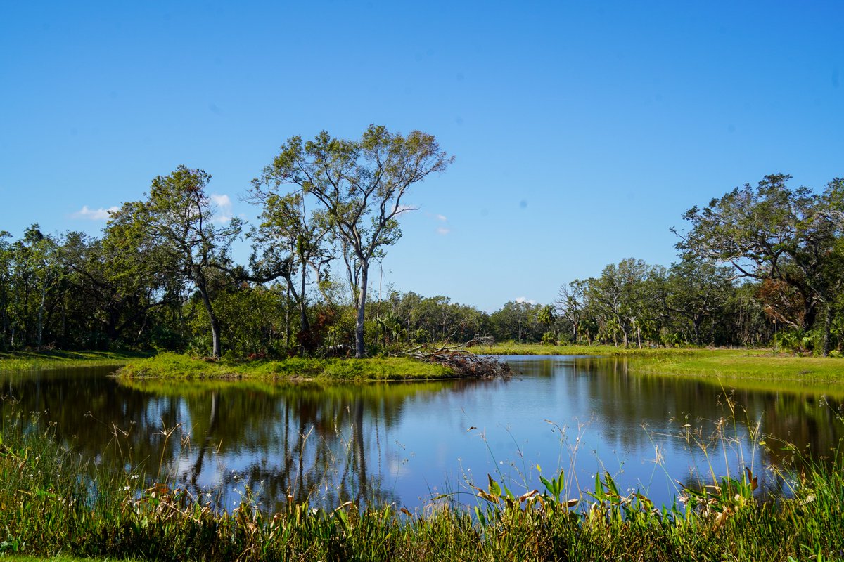 City of Tampa tweet media