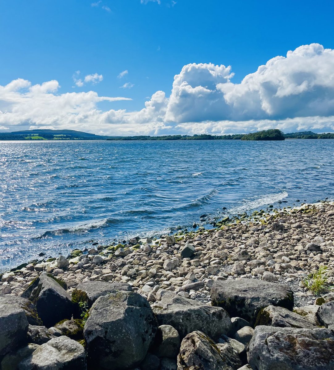 Curtailed Rambler tweet media