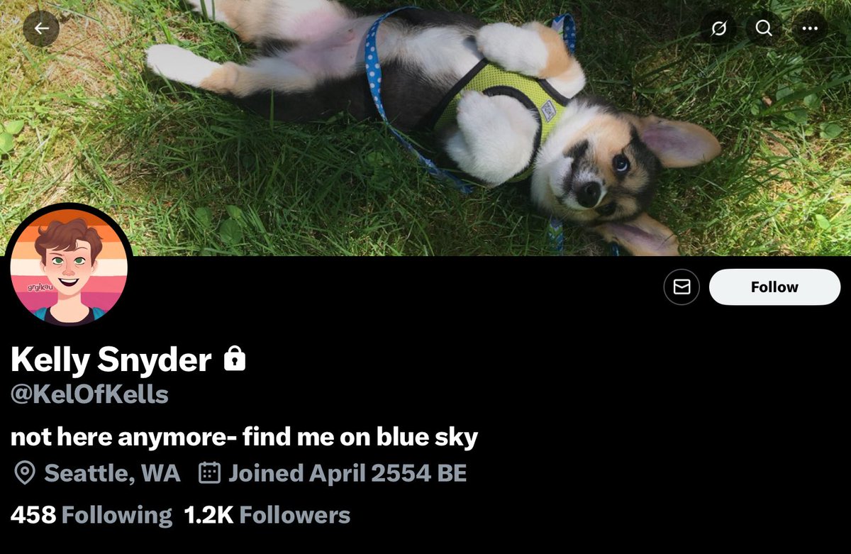 🌴Tropical Chilly🌴 tweet media