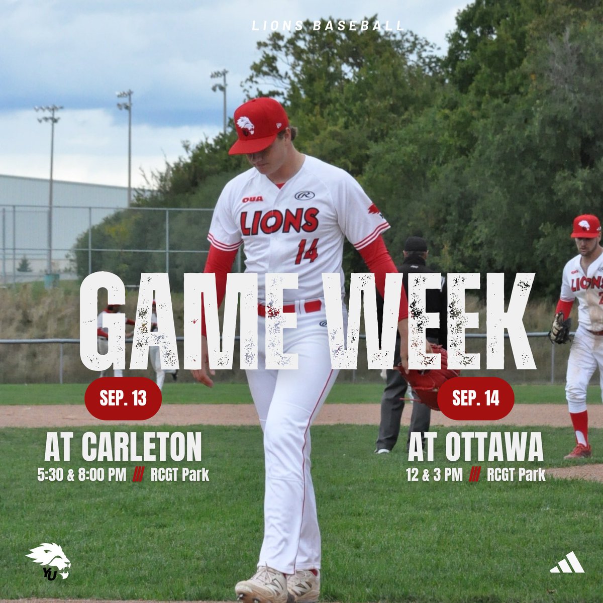York Lions Baseball tweet media