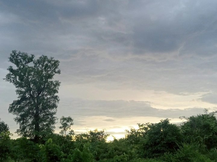 📮Please help me by sharing this.

#เมื่อเขาเป็นมากกว่าเจ้าหนี้
⧎ chapter ─ 14 เธอทำให้ฉันต้องหวั่นไหว

Link 🖇 readawrite.com/a/f6bf6f2c7f1f…