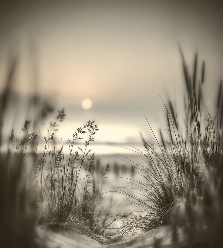 Izabela-Elizabeth (@izabelazapp) on Twitter photo 