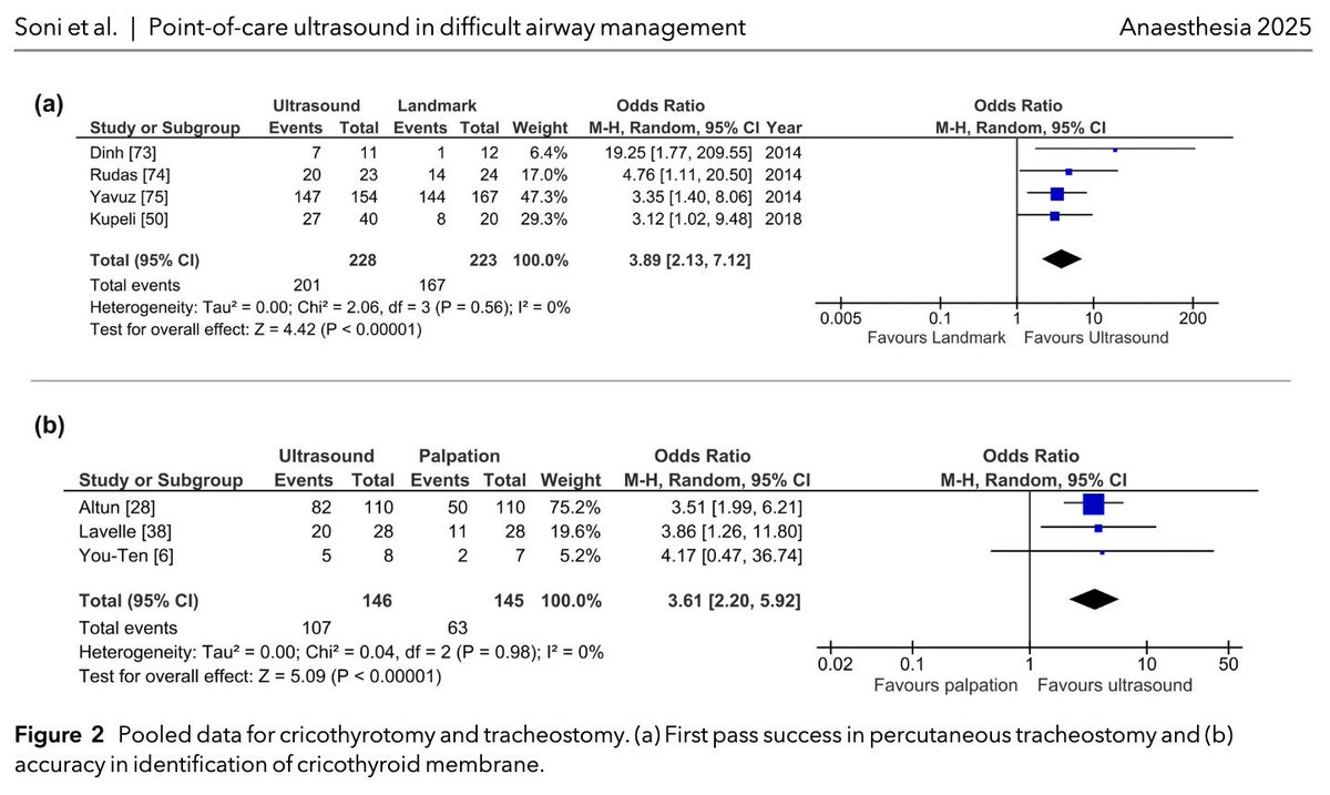 𝘈𝘯𝘢𝘦𝘴𝘵𝘩𝘦𝘴𝘪𝘢 tweet media