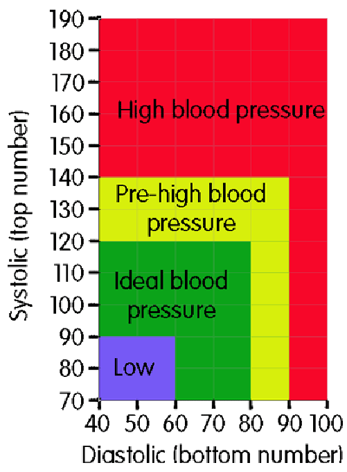 WMC_GP's tweet photo. Find out how to understand blood pressure readings here:
https://t.co/wPXzcAvQ0n
Over time, high blood pressure can lead to a number of health problems:
https://t.co/wpAr7vyTcq
#BloodPressureAwareness #KnowYourNumbersWeek @blood_pressureuk https://t.co/EWp2xGOf1b