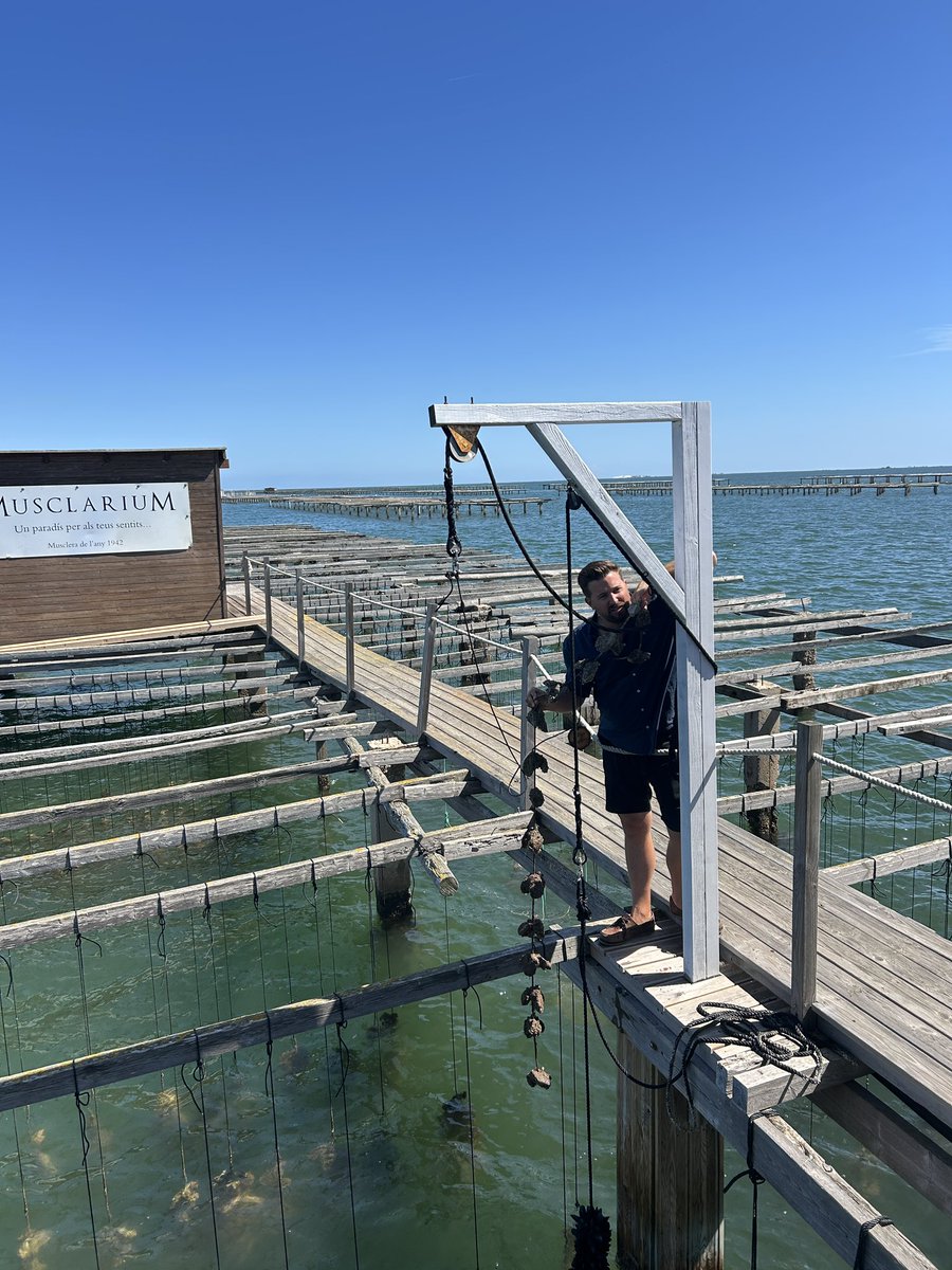 No tengo prisa, no vendo, solo espero, miro, disfruto de la vida,… #XYO $XYO
Siempre apoyando este proyecto 

Allways supporting $XYO