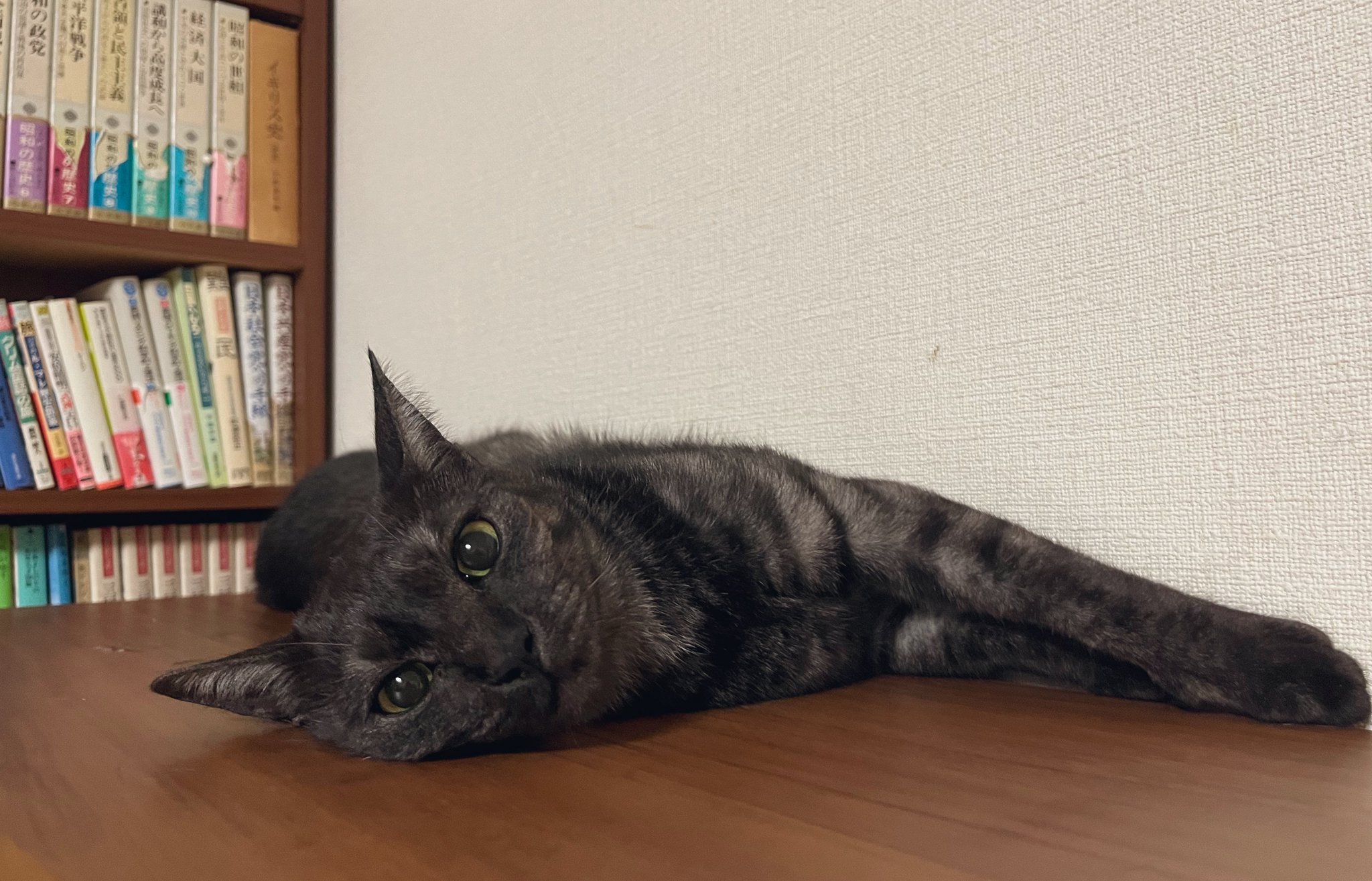 Posts with replies by カノン (@SakuraiKanonSGZ) / X