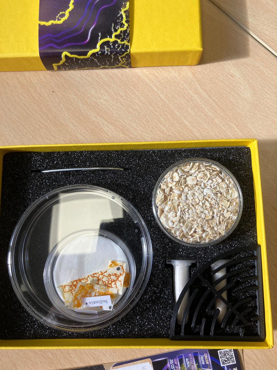 Lycée des métiers Beaugrenelle tweet media