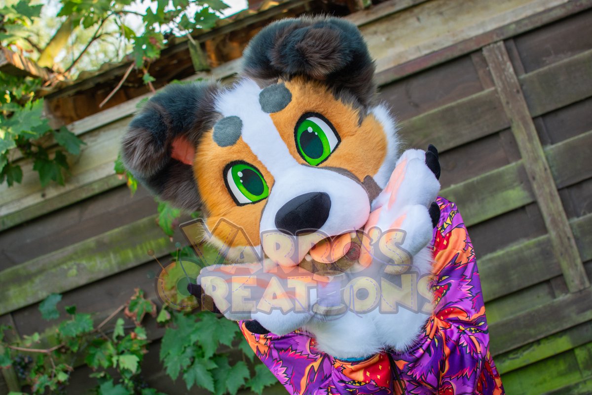 For this #FursuitFriday I'm excited to announce that this doggo found a new home!🧡 Thank you <a href="/AzuxiHusky/">Azuxi_Husky</a> and for naming him Buddy! 🧡
📸: <a href="/AlessAndLexie/">Lexie Doggo</a>