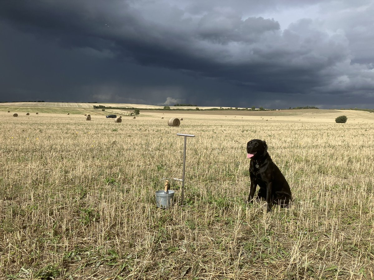 Martin Harwood tweet media