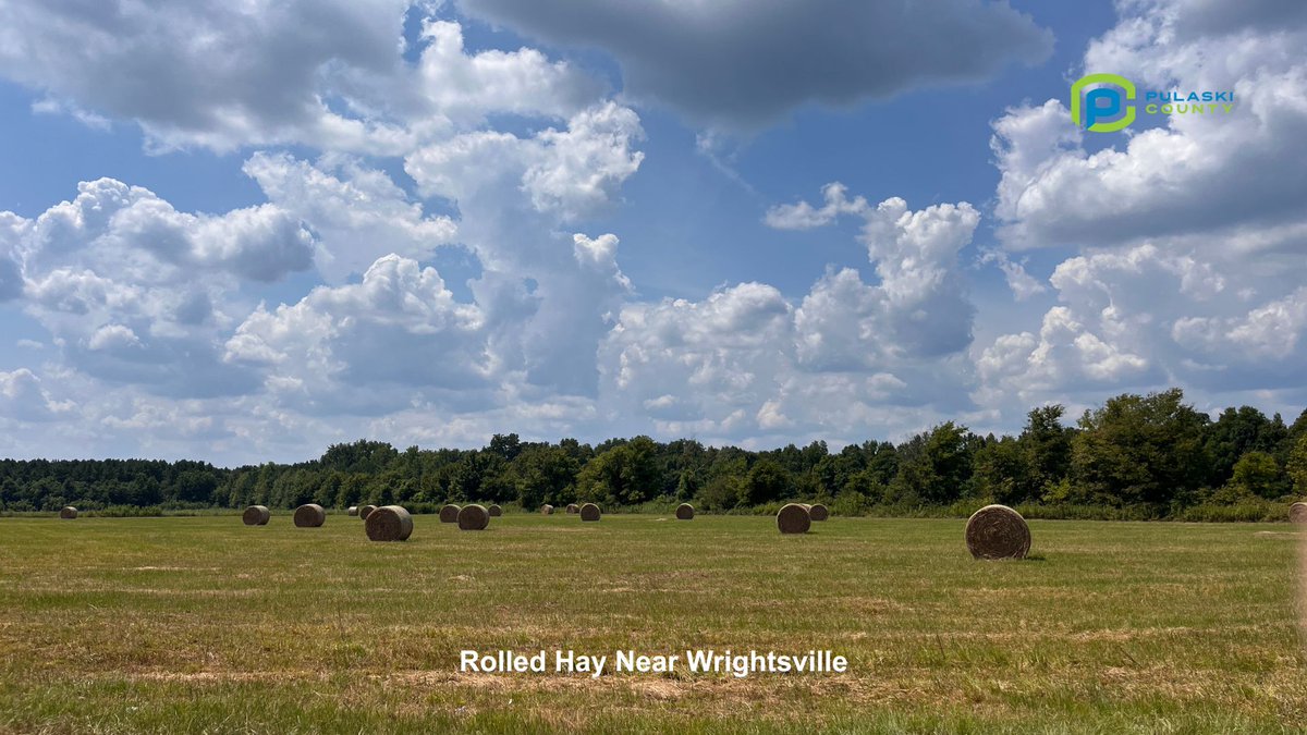 PulaskiAR's tweet image. 🌾 Hay there, Pulaski County! ☀️
It’s another sunny scorcher out there — with highs in the mid-90s and air drier than freshly cut hay on a hot field! 🔥😎

#HayTherePulaski #SecondSummer #PulaskiCountyWeather #GetOutsideAR #TrailTime #FishingDays #SunshineSeason