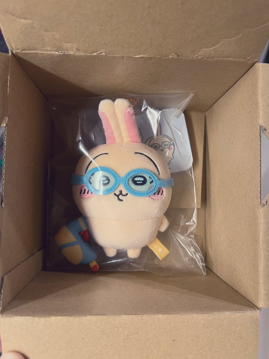 いい感じにフィットしてるのがなんか好きでしばらく届いた幸せ雰囲気味わってた🐰💓wようやく脱出させた🥰
