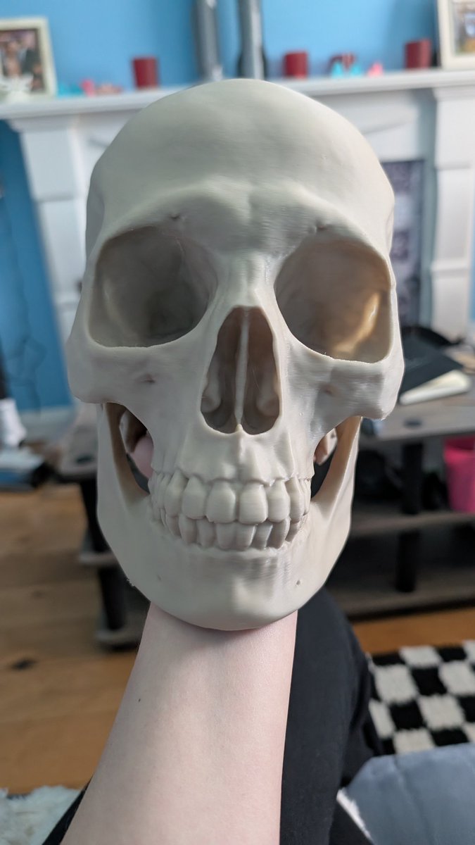 TinyToxicTofu's tweet image. He&apos;s great conversation