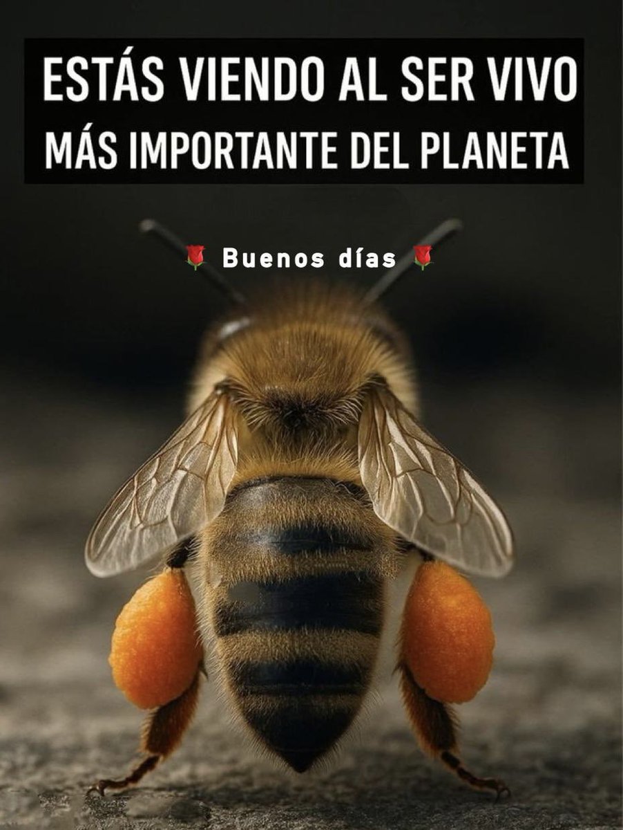 Juan Borja B. (@556juan) on Twitter photo 