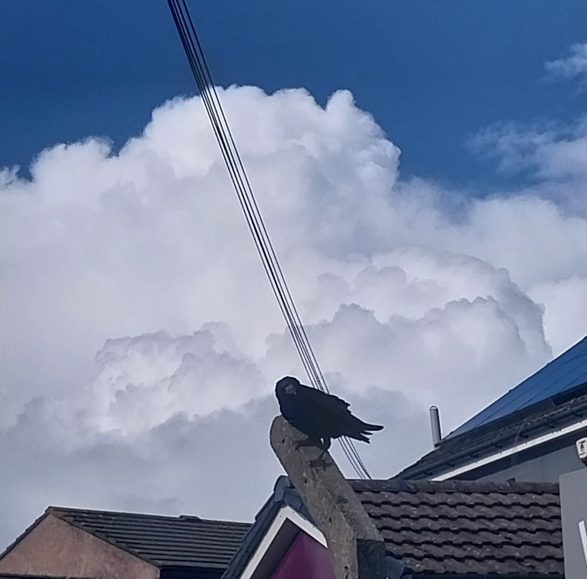 hum dunkin (@hum_dunkin) on Twitter photo 