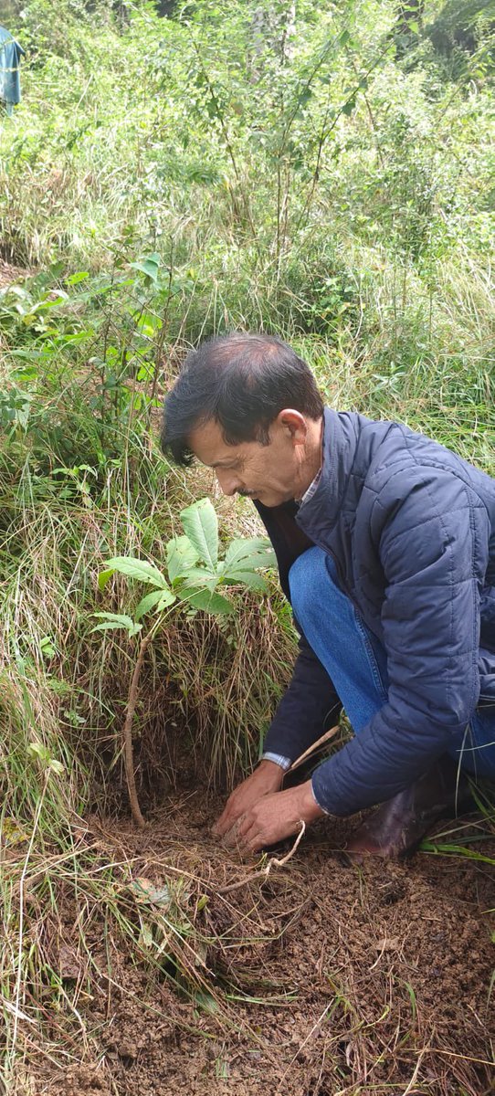 CBC, Shimla Min. of I&B tweet media