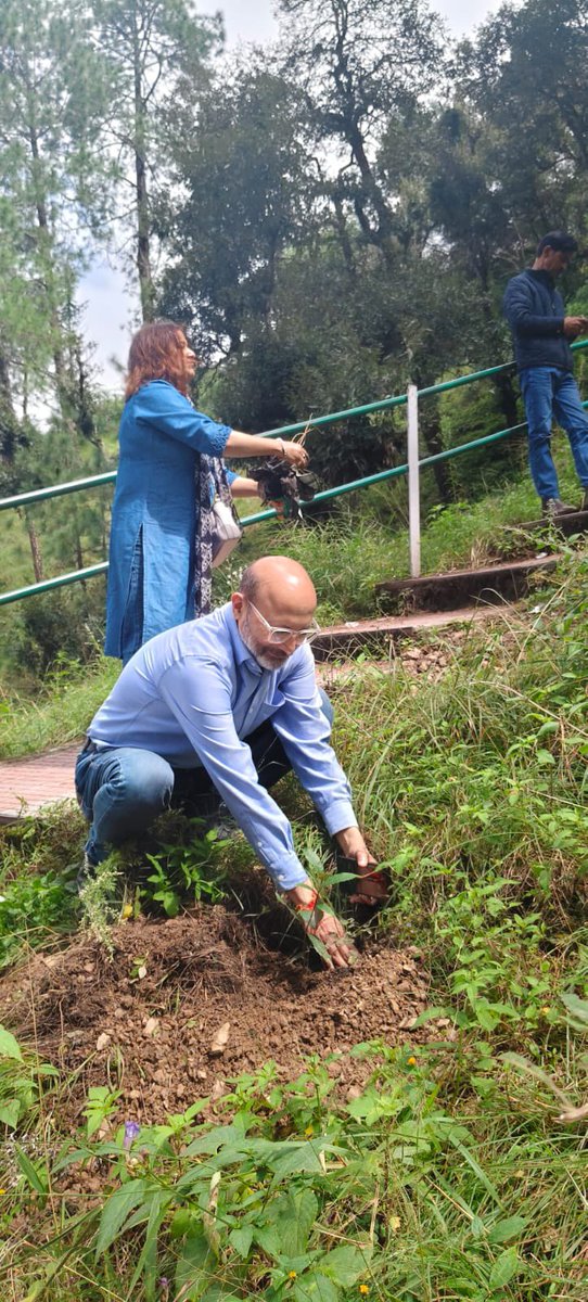 CBC, Shimla Min. of I&B tweet media