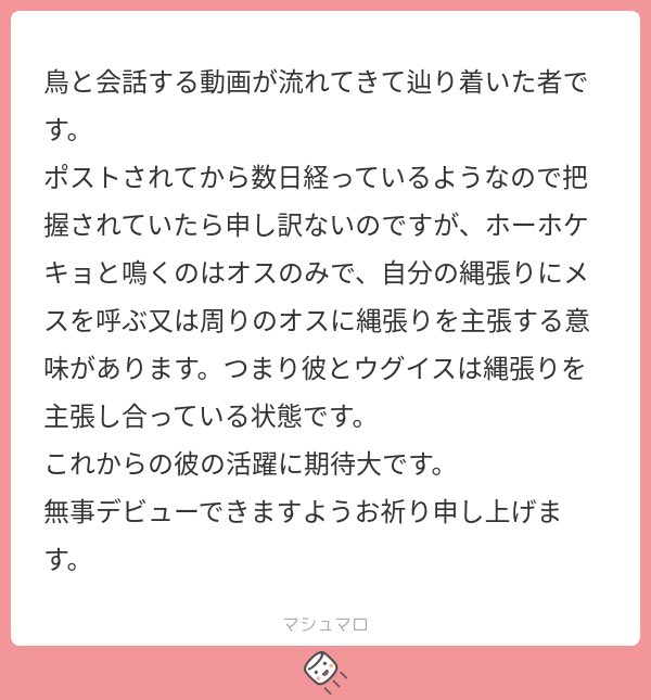 辿り着いてくれてありがとうございます‼️‼️
彼とウグイスは縄張りを主張し合っている状態です。⬅️WWWWWWWWWWWWWWWWWWWWWWWWカノンは会話できたと喜んでるのに、ウグイスからすれば人間と争ってるのおもろすぎる