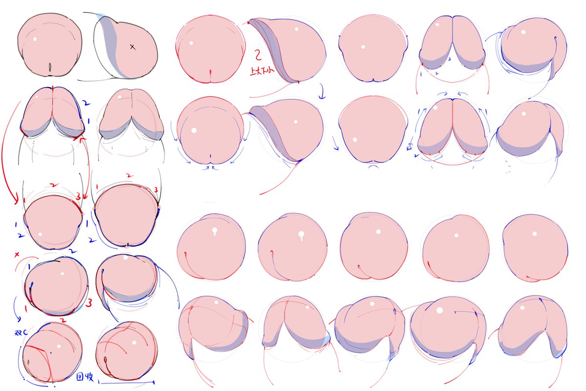捕熊の企鵝(EM) tweet media