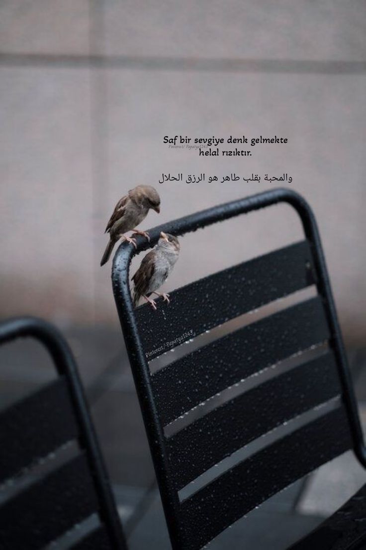 Ömer Faruk Yüce (@omerfarkyuce) on Twitter photo 