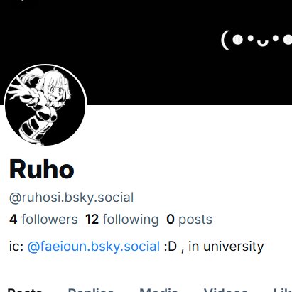 Ruho (on bluesky and cara) tweet media