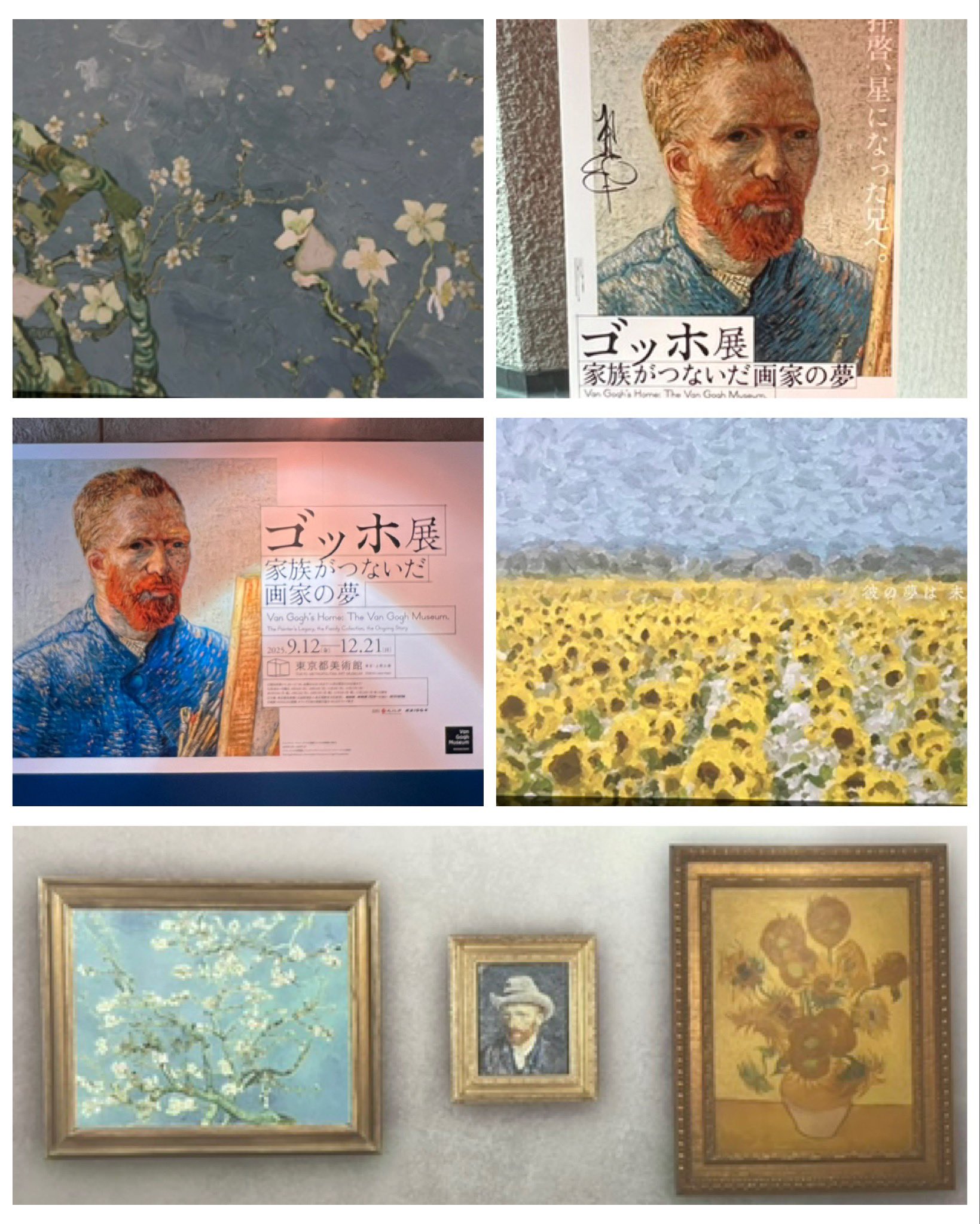 ゴッホ展 - Search / X