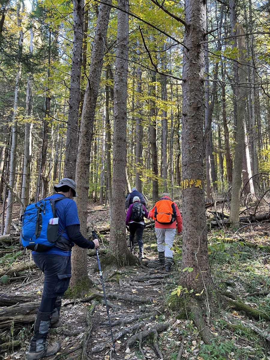 ErieCountyParks's tweet photo. Join our Park Rangers for new programs: Dog Hike 10/4, Bioblitz 10/12, Fall Hike 10/18, and more!
Learn more and register at https://t.co/dHKyci4b9o
#FindYourNextAdventure #YourErieCountyParks #10000AcresToExplore https://t.co/Iw9J4A7O7j