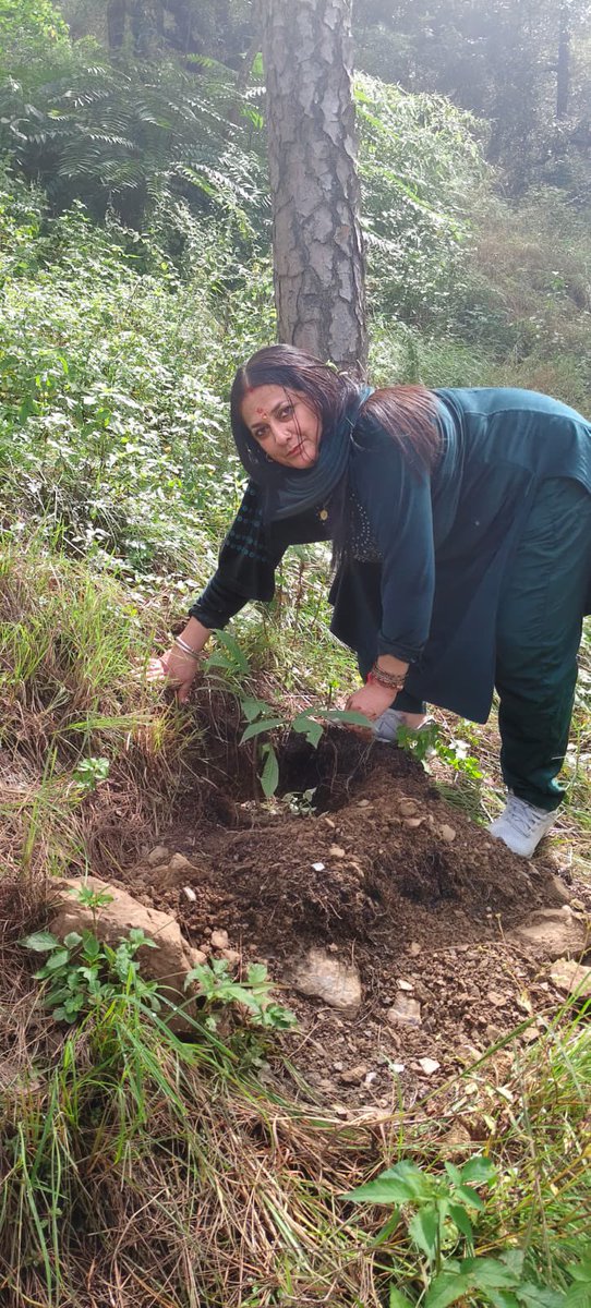 CBC, Shimla Min. of I&B tweet media