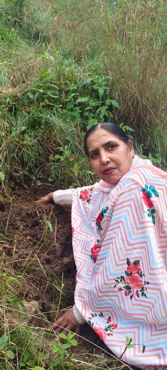 CBC, Shimla Min. of I&B tweet media