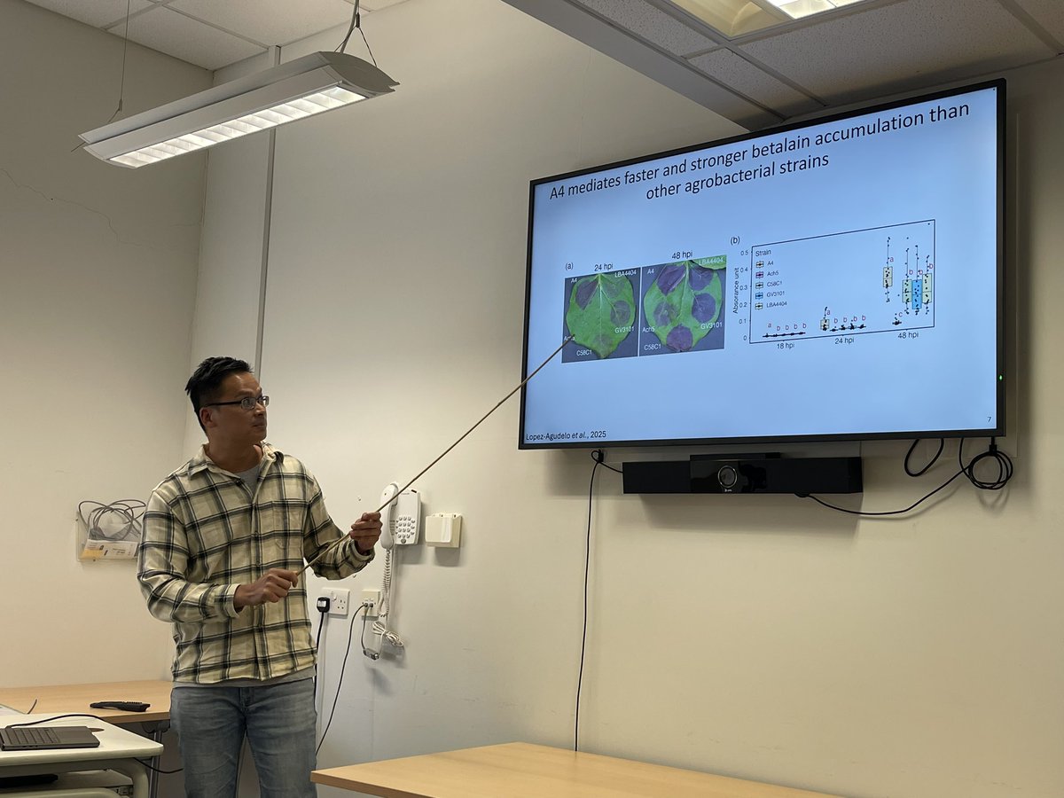 Double-header <a href="/IPMBSinica/">IPMB Academia Sinica (中研院植微所)</a> agrofest seminars today <a href="/TheSainsburyLab/">The Sainsbury Laboratory</a> with Erh-Min <a href="/erhminlai/">Erh-Min Lai</a> and Chih-hang <a href="/AdamWu9527/">Chih-Hang Wu</a> 🇹🇼 #Agrobacterium #agrobacteria