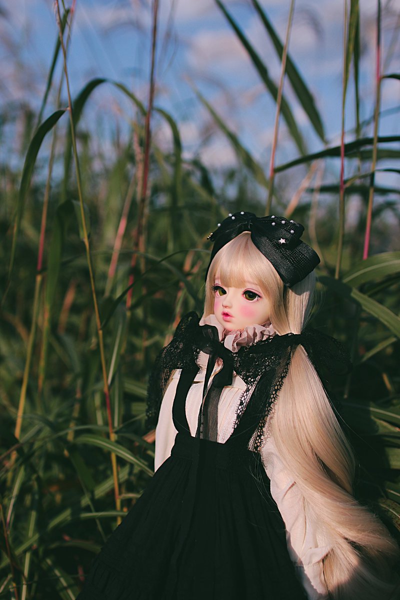 ✿ 𝙷𝙸𝙹𝙸 ✿ tweet media