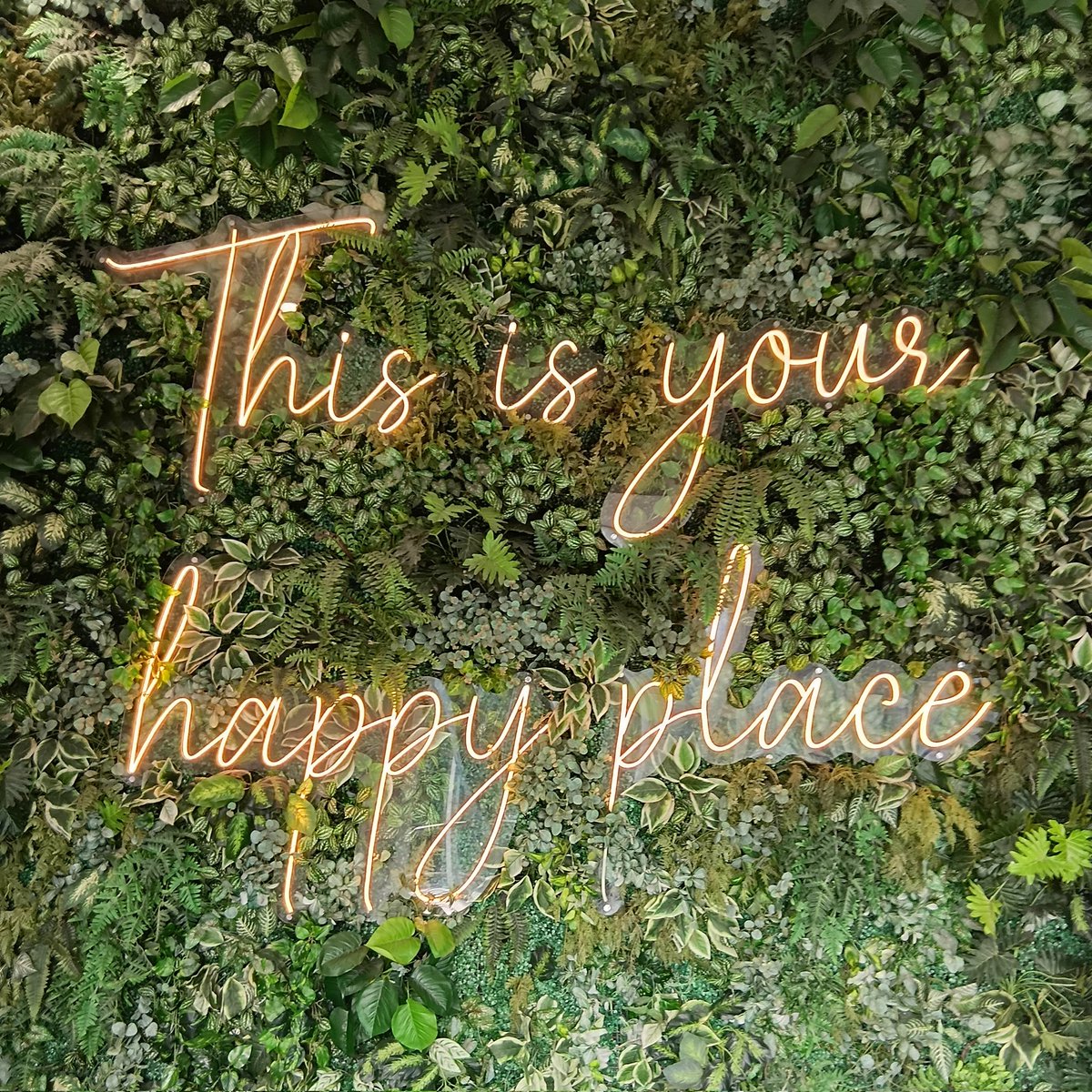 Clou D. Perayapper tweet media