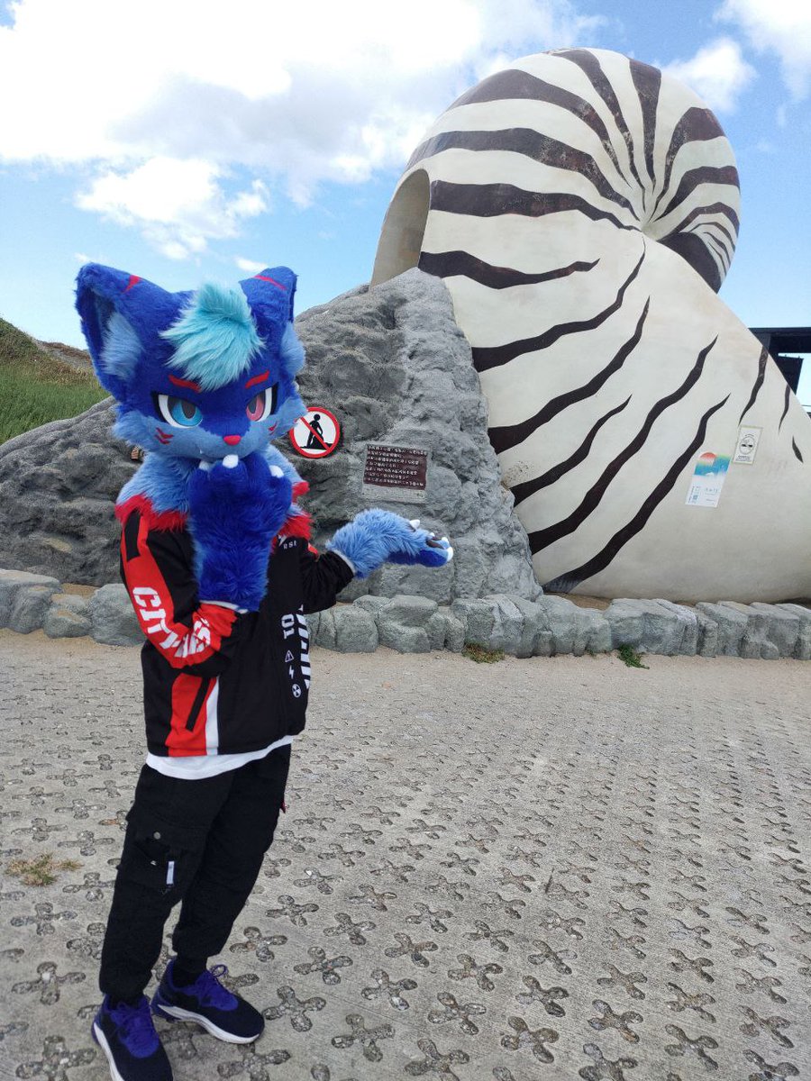 你看你看是個好大的鸚鵡螺ヾ(*ΦωΦ)ツ

#FursuitFriday