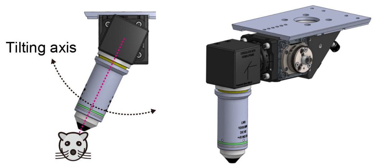 We are pleased to announce our new paper. We developed "Ex2p/Ex2pO," a low-cost, open-source module that upgrades existing two-photon microscopes for flexible in vivo imaging and all-optical physiology.