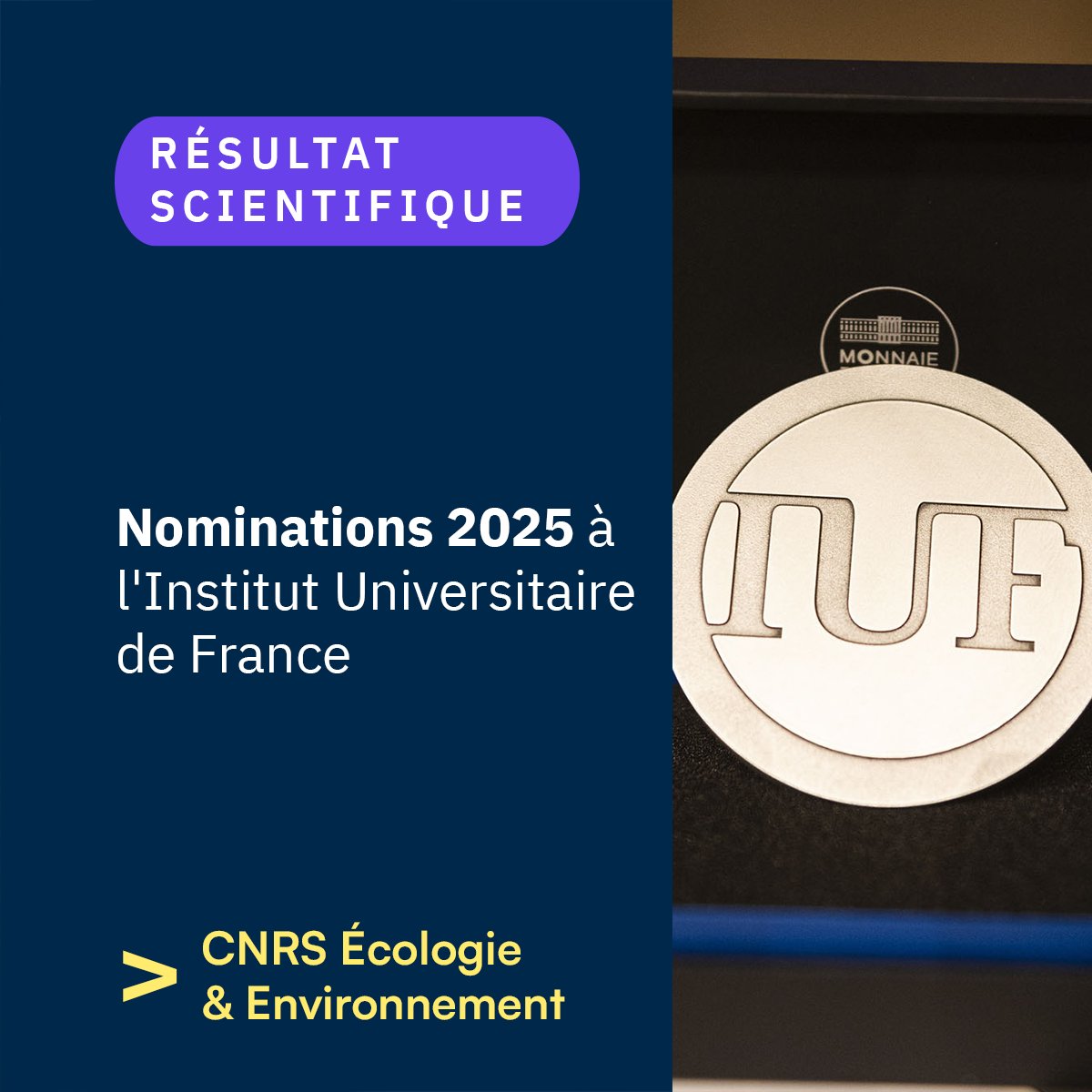 CNRS Écologie & Environnement tweet media