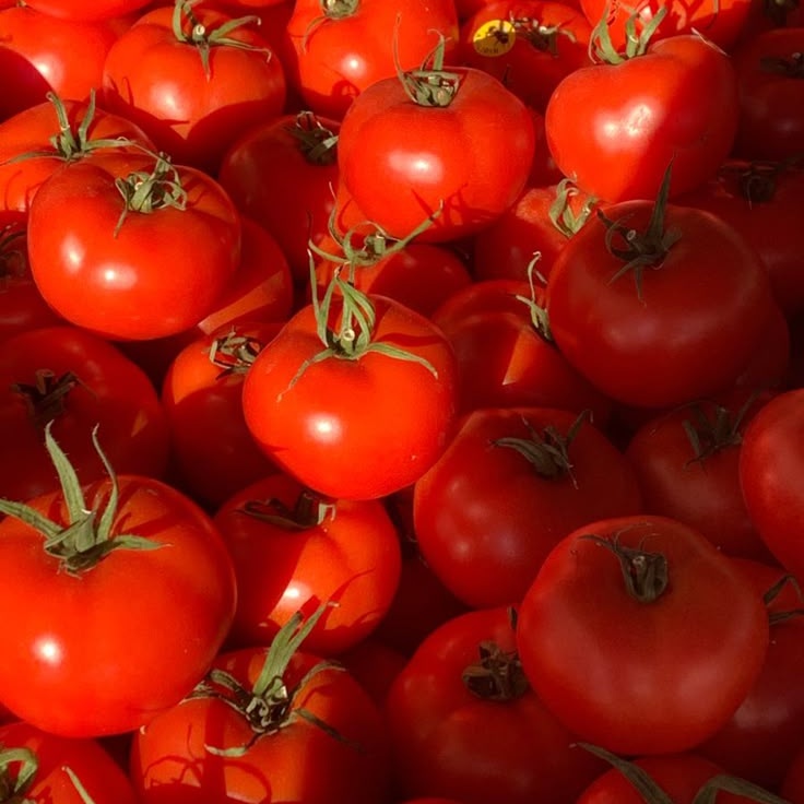 imyourwl_'s tweet photo. 🍅🍅🍅🍅🍅🍅🍅🍅🍅🍅🍅🍅🍅🍅🍅🍅🍅🍅🍅🍅🍅🍅🍅🍅🍅🍅🍅🍅🍅🍅🍅🍅🍅🍅🍅🍅🍅🍅🍅🍅🍅🍅🍅🍅🍅🍅🍅🍅🍅🍅🍅🍅🍅🍅🍅🍅🍅🍅🍅🍅🍅🍅🍅🍅 https://t.co/14uBr25Kda
