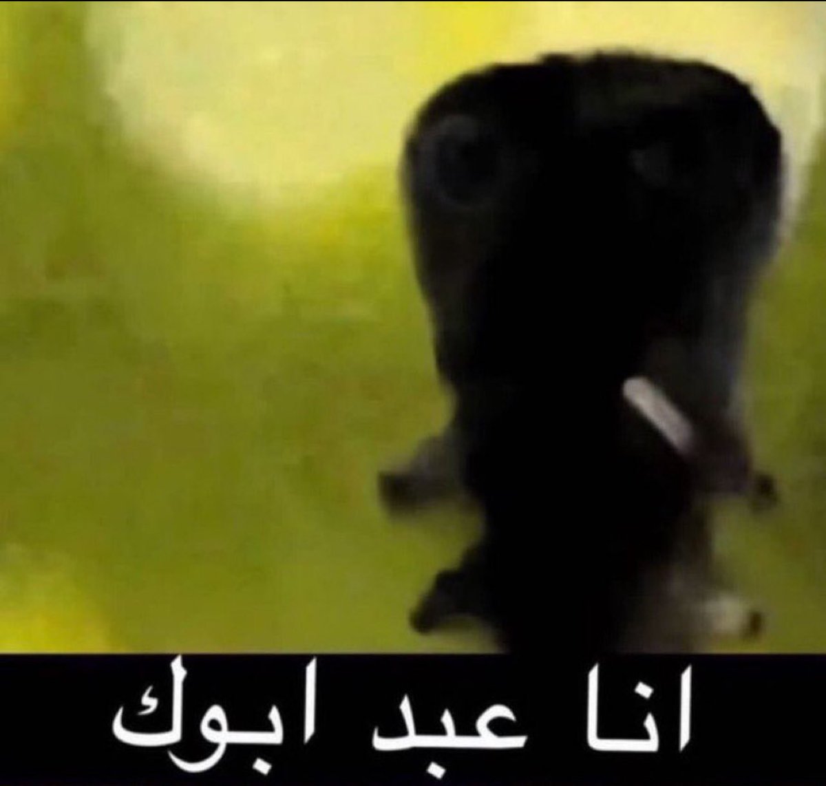 #حرق_ون_بيس 

التنين السماوي : أ..

جنود البحرية