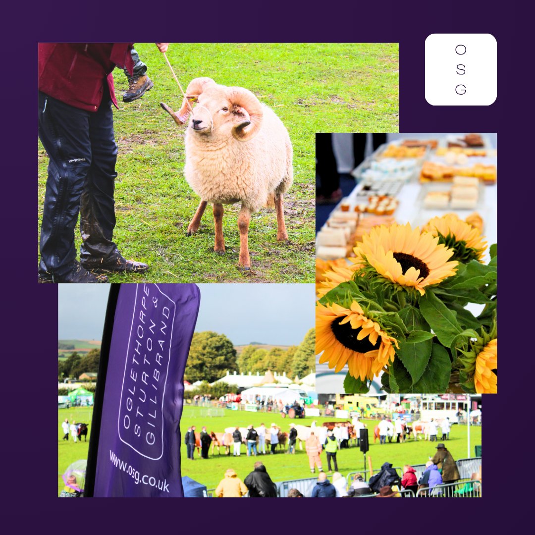 Oglethorpe, Sturton & Gillibrand Solicitors tweet media