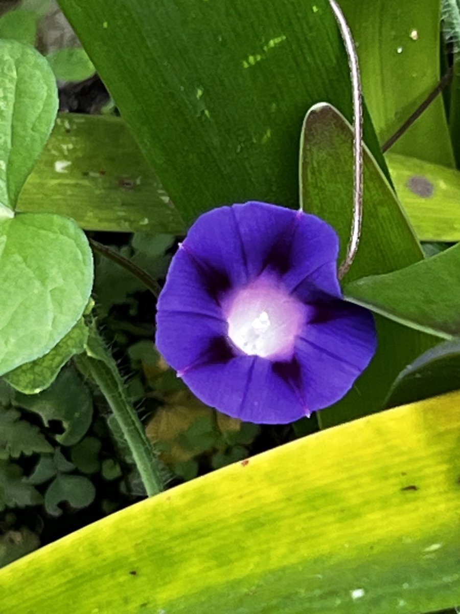 César Moheno (@cesar_moheno) on Twitter photo 