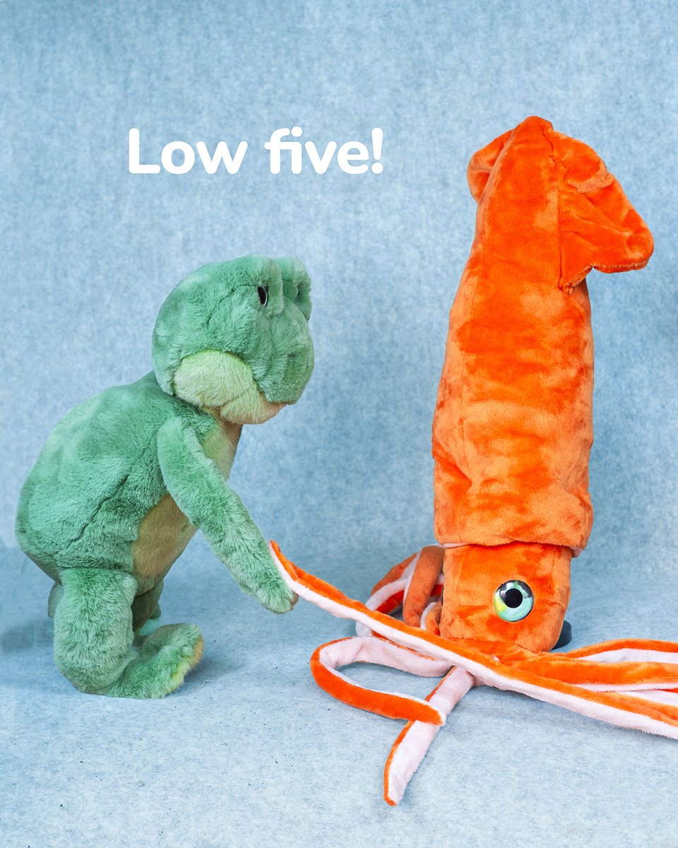 douglastoys's tweet image. Whether you’re feeling high 😀 or low 😔 don’t forget to show some love to a friend today! 🥰 

#highfive #frog #squid #plushies #cute #plush #toys #froggy #cutefrog #octopus #cutesquid #plushtoys #stuffedanimals #douglas #douglastoys #douglasplush