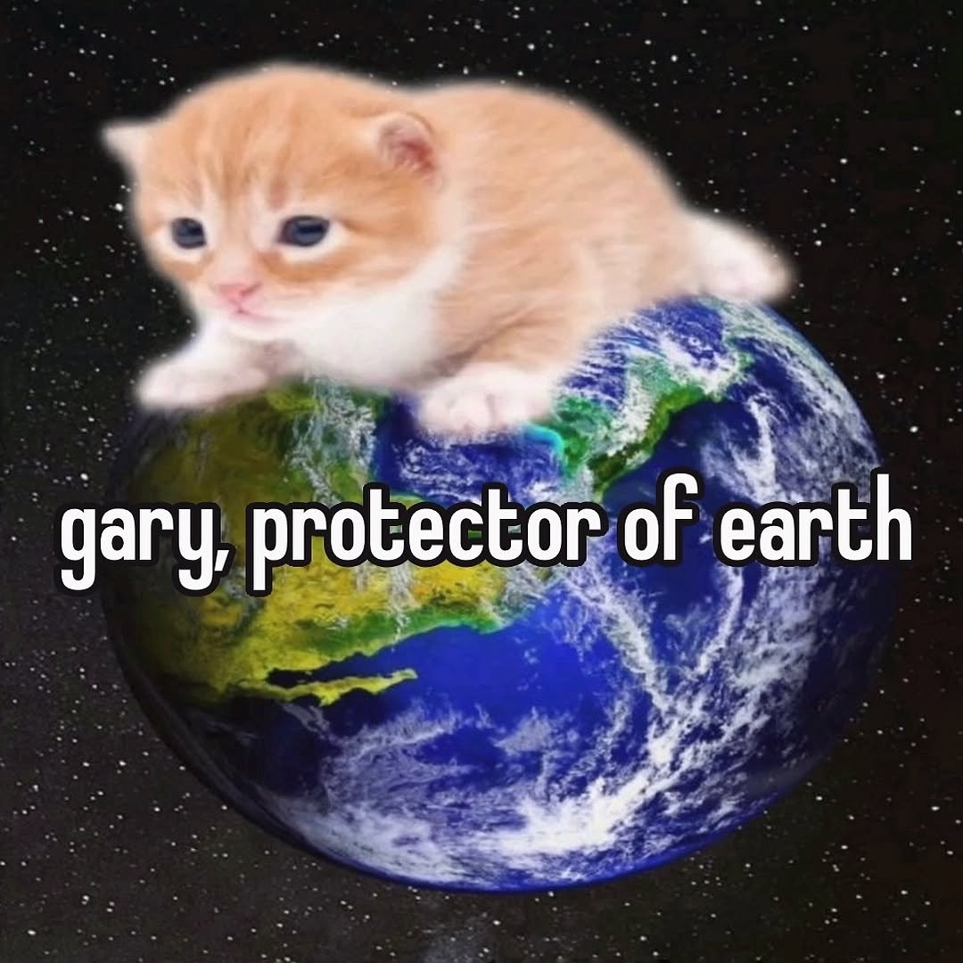 catsareblessing's tweet image. thank you gary 🙏❤️